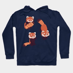 Three cute red pandas Hoodie